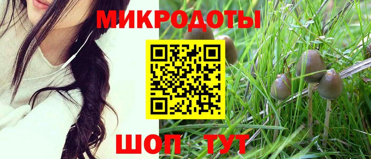 Псилоцибиновые грибы Psilocybine cubensis Курган
