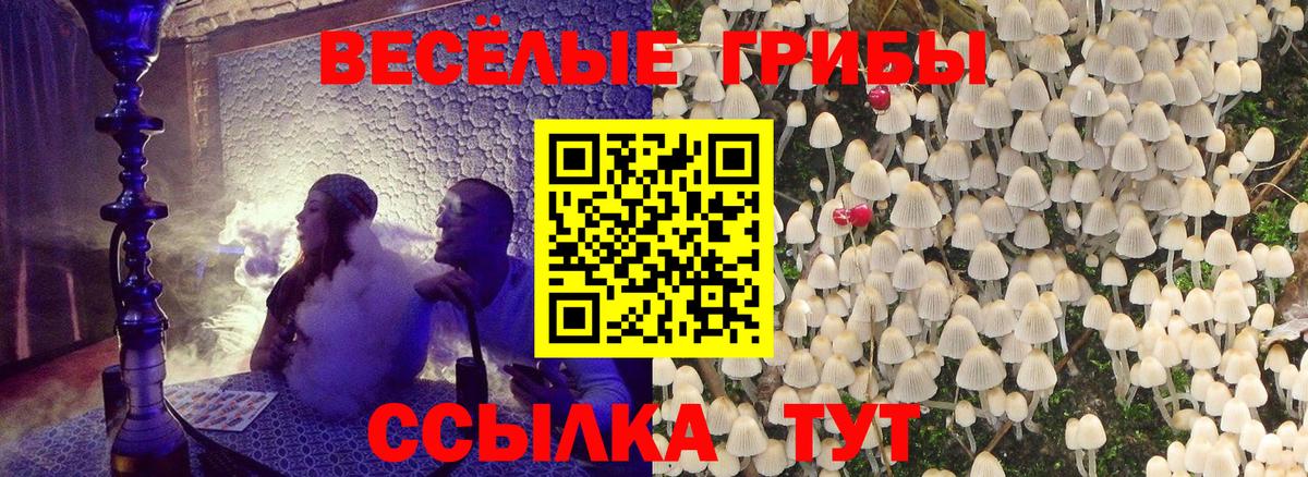 Псилоцибиновые грибы Magic Shrooms  Псилоцибиновые грибы ЛСД  Курган  Вход с VPN 